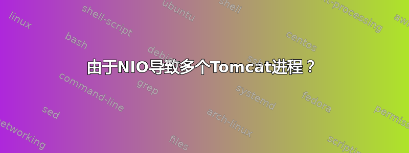 由于NIO导致多个Tomcat进程？