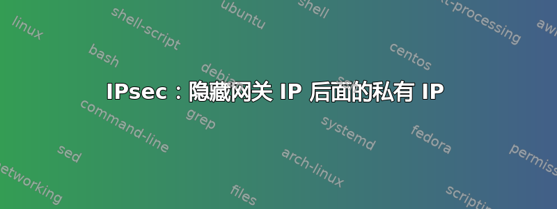 IPsec：隐藏网关 IP 后面的私有 IP