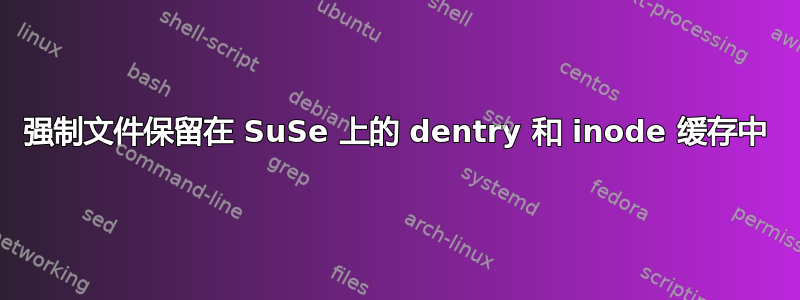 强制文件保留在 SuSe 上的 dentry 和 inode 缓存中