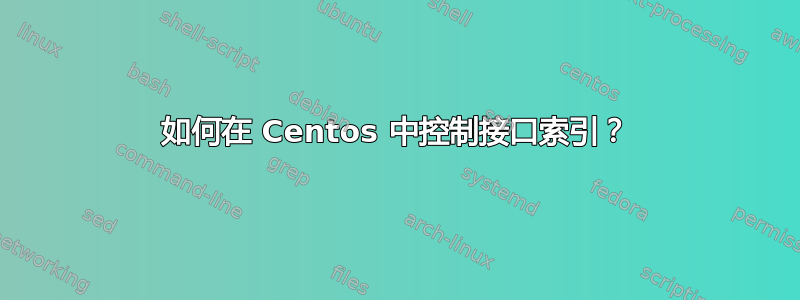 如何在 Centos 中控制接口索引？