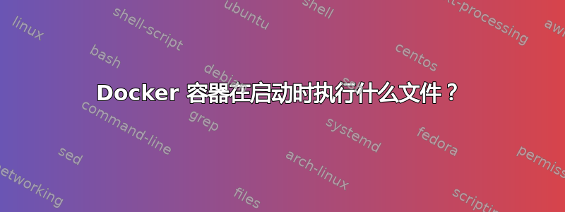 Docker 容器在启动时执行什么文件？