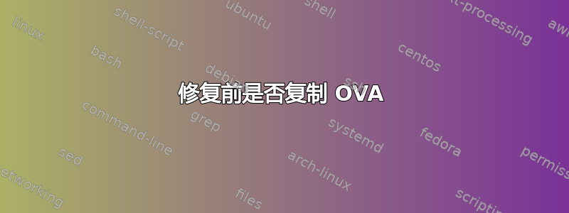 修复前是否复制 OVA