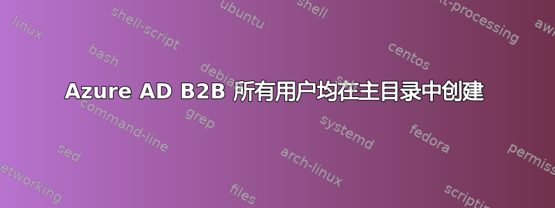 Azure AD B2B 所有用户均在主目录中创建