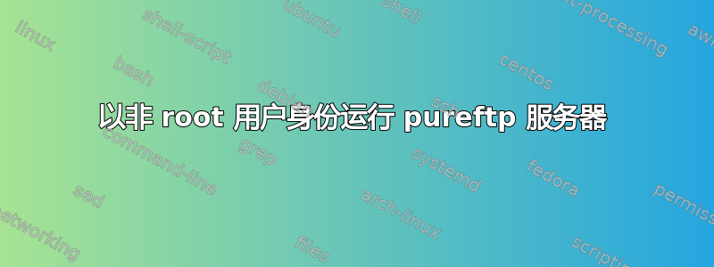 以非 root 用户身份运行 pureftp 服务器