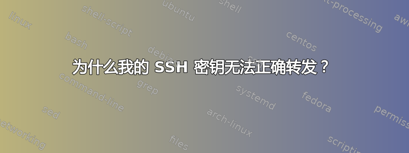 为什么我的 SSH 密钥无法正确转发？