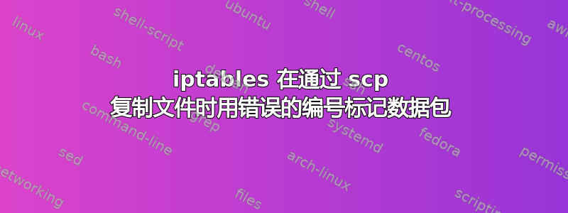 iptables 在通过 scp 复制文件时用错误的编号标记数据包