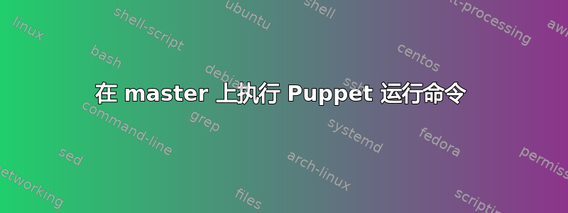 在 master 上执行 Puppet 运行命令