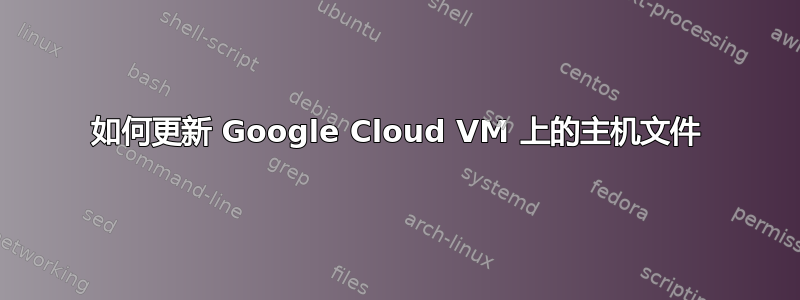 如何更新 Google Cloud VM 上的主机文件