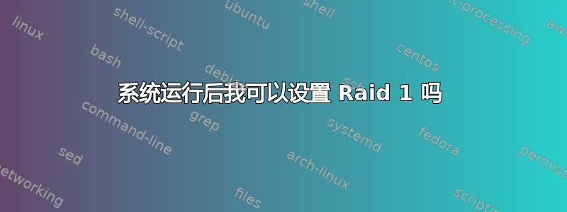 系统运行后我可以设置 Raid 1 吗