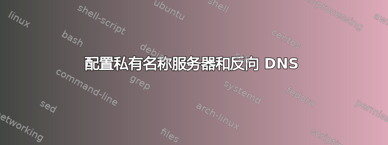 配置私有名称服务器和反向 DNS