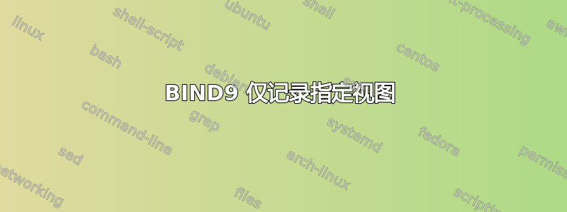 BIND9 仅记录指定视图