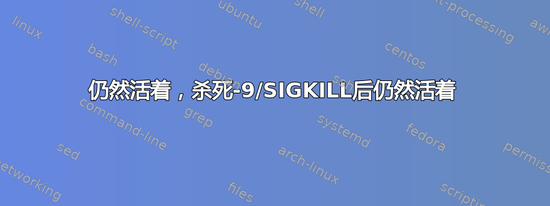 仍然活着，杀死-9/SIGKILL后仍然活着