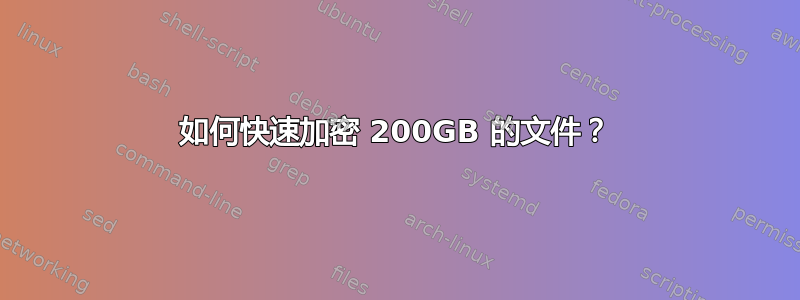 如何快速加密 200GB 的文件？