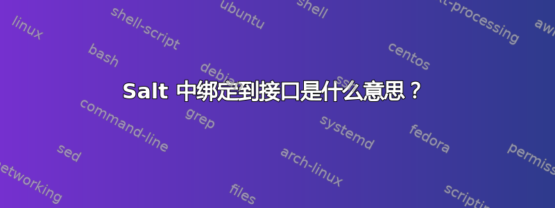 Salt 中绑定到接口是什么意思？