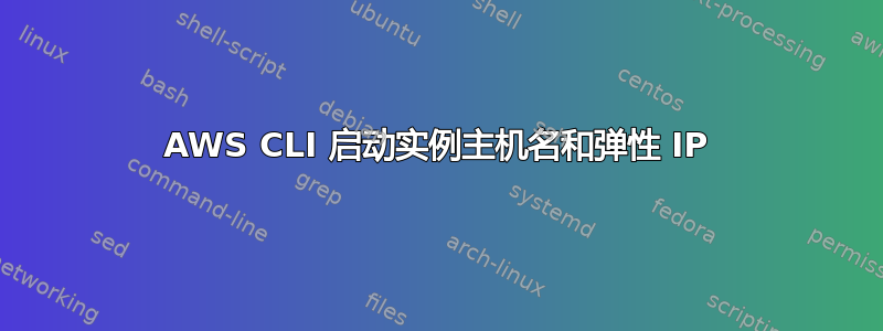 AWS CLI 启动实例主机名和弹性 IP