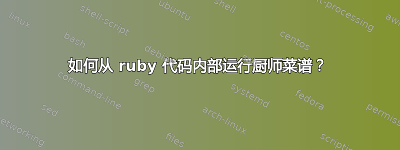 如何从 ruby​​ 代码内部运行厨师菜谱？