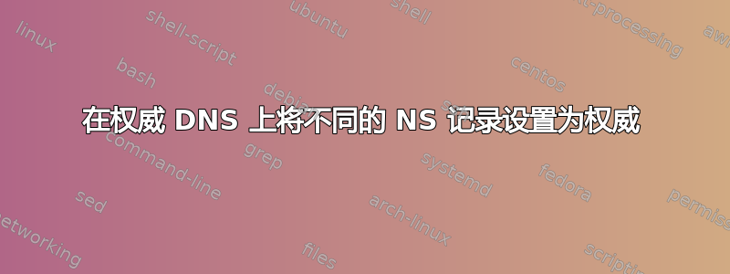 在权威 DNS 上将不同的 NS 记录设置为权威