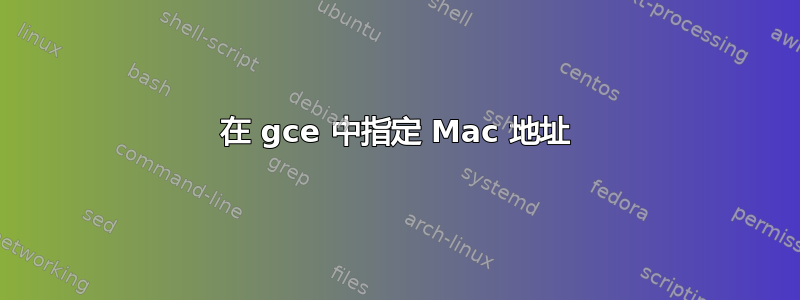 在 gce 中指定 Mac 地址