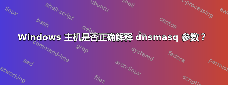 Windows 主机是否正确解释 dnsmasq 参数？