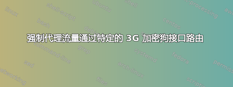 强制代理流量通过特定的 3G 加密狗接口路由