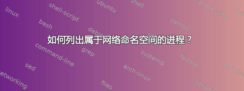 如何列出属于网络命名空间的进程？