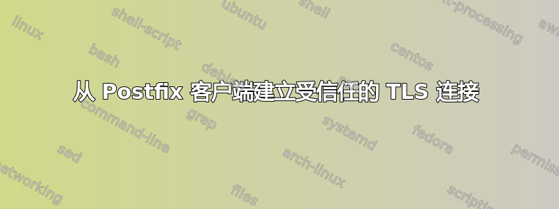 从 Postfix 客户端建立受信任的 TLS 连接