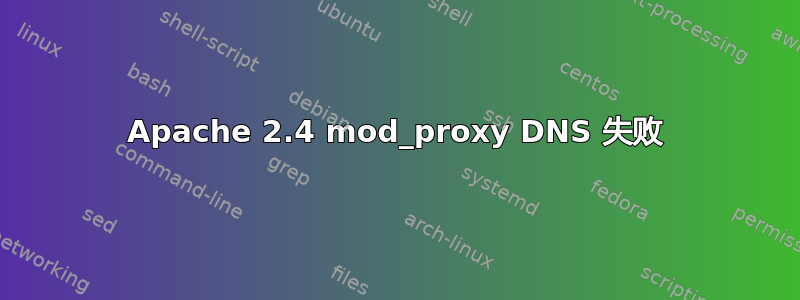 Apache 2.4 mod_proxy DNS 失败