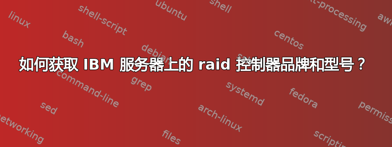 如何获取 IBM 服务器上的 raid 控制器品牌和型号？