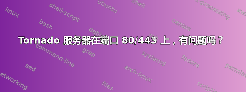 Tornado 服务器在端口 80/443 上，有问题吗？