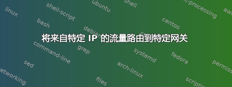 将来自特定 IP 的流量路由到特定网关