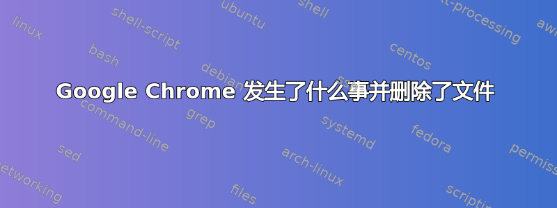 Google Chrome 发生了什么事并删除了文件