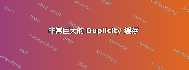 非常巨大的 Duplicity 缓存