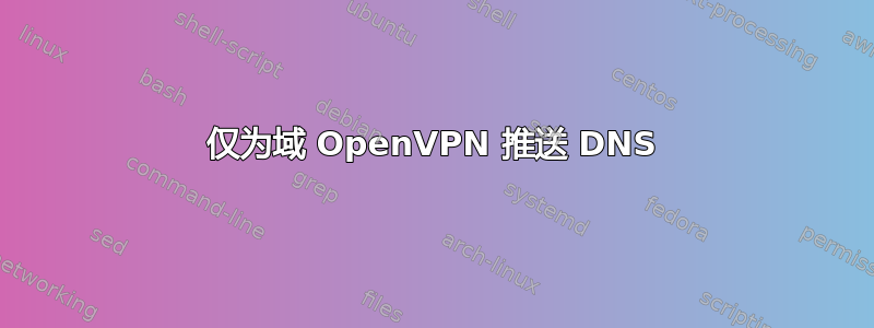 仅为域 OpenVPN 推送 DNS