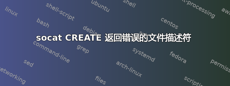 socat CREATE 返回错误的文件描述符