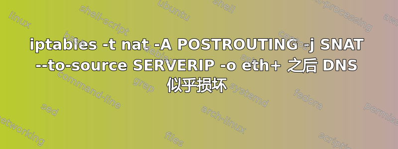 iptables -t nat -A POSTROUTING -j SNAT --to-source SERVERIP -o eth+ 之后 DNS 似乎损坏