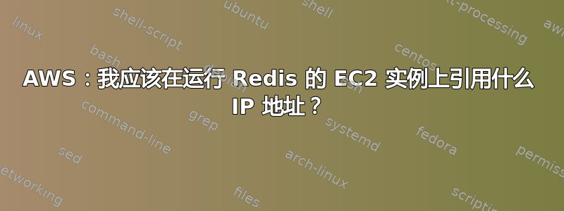 AWS：我应该在运行 Redis 的 EC2 实例上引用什么 IP 地址？