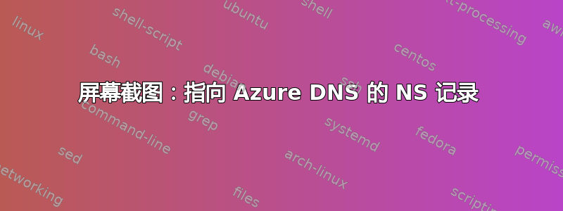 屏幕截图：指向 Azure DNS 的 NS 记录