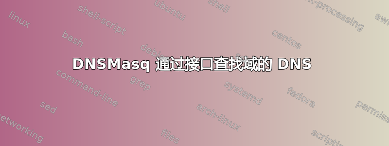 DNSMasq 通过接口查找域的 DNS