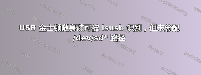 USB 金士顿随身碟可被 lsusb 识别，但未分配 /dev/sd* 路径