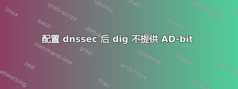 配置 dnssec 后 dig 不提供 AD-bit