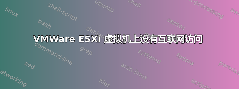 VMWare ESXi 虚拟机上没有互联网访问