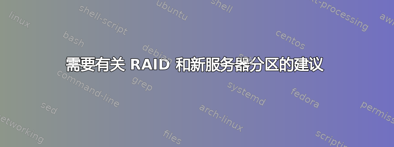 需要有关 RAID 和新服务器分区的建议