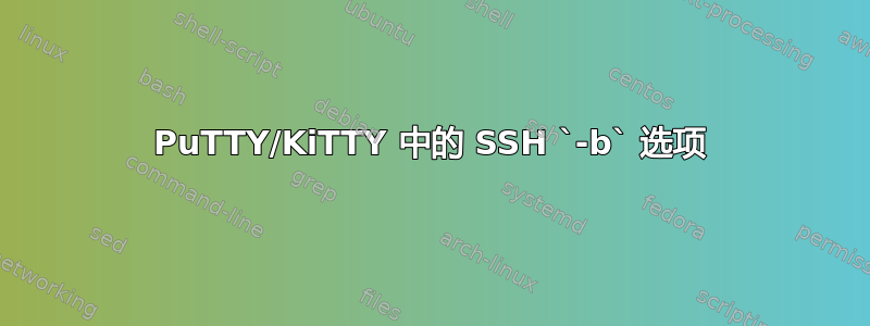 PuTTY/KiTTY 中的 SSH `-b` 选项