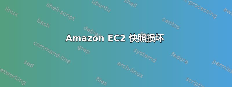 Amazon EC2 快照损坏