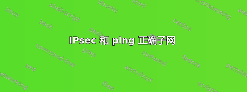 IPsec 和 ping 正确子网