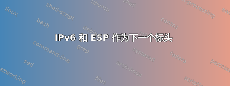 IPv6 和 ESP 作为下一个标头