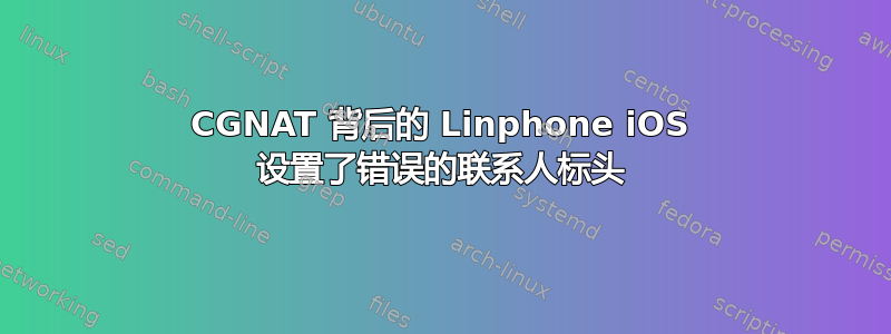 CGNAT 背后的 Linphone iOS 设置了错误的联系人标头