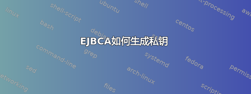 EJBCA如何生成私钥