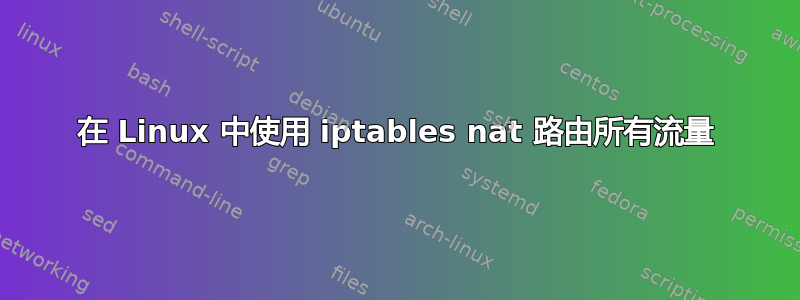 在 Linux 中使用 iptables nat 路由所有流量