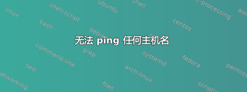 无法 ping 任何主机名